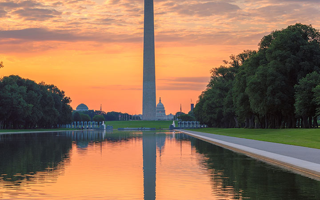 Preparing for a federal termination for convenience