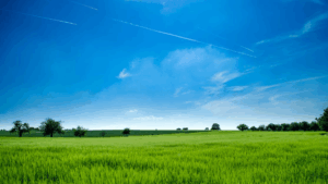 Estate Planning and Asset Protection Strategies for Real Estate Professionals and Investors in 2025