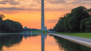 Preparing for a federal termination for convenience