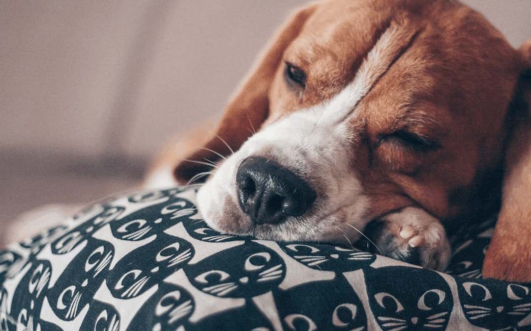 Tax traps for real estate investors and how to avoid them