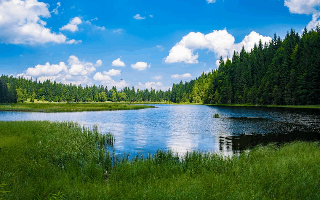 Inside the hidden economics of luxury vacation rentals in rural markets