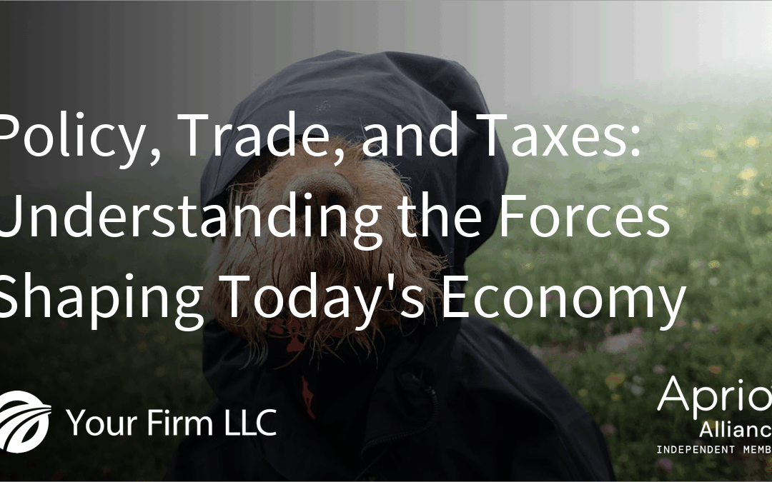 Policy, Trade, and Taxes: Understanding the Forces Shaping Today’s Economy
