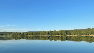 Launching Your Business: Entity Types Explained and Tax Pros & Cons